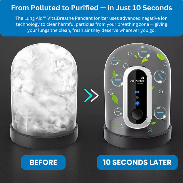 Ionic Air Purifier