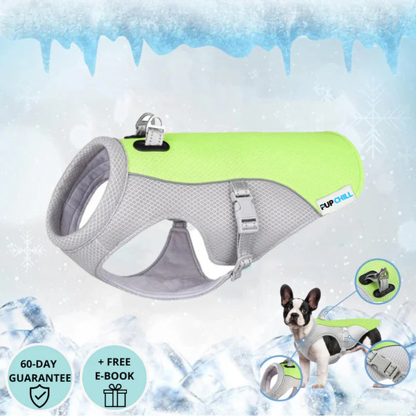Dog Cooling Vest